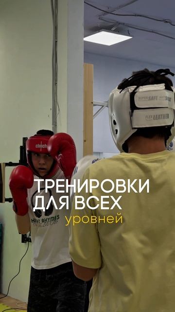 Бокс Мытищи