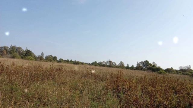 Природа Новгородской области