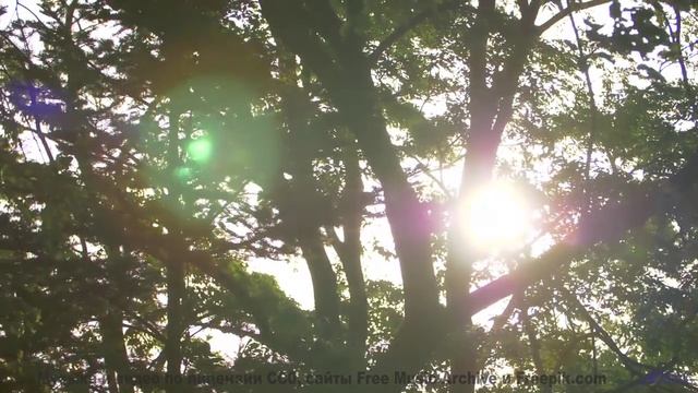 Поля под такой музыкой становятся бесконечными - Blessed Horizons -- Ketsa -- The Calling