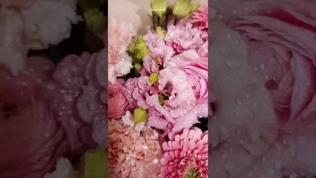 Цветы для настроения.mp4