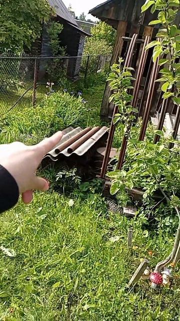 ДЛЯ ТЕХ Кто любит ВАНЮ ДМИТРИЕНКО ❤️