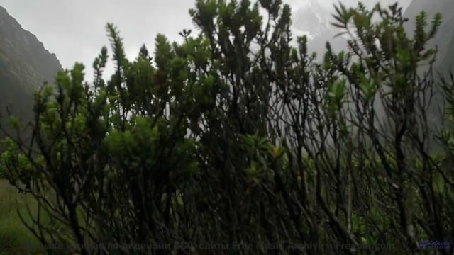 Звуки, которые не должны существовать - но они есть! - It Cant Be Love Unless It Hurts -- Tracyanne