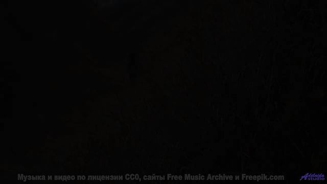Клип, созданный на суперкомпьютере - потрясающе или пугающе - Sky Scrapers -- HoliznaCC0 -- City Sla