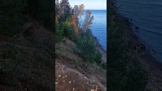 2024'10_Питер-02