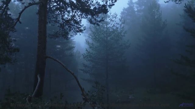 Трек, который звучит лучше на природе - Thom Yorke (At Home) -- Podington Bear -- Homage Fromage (Bo