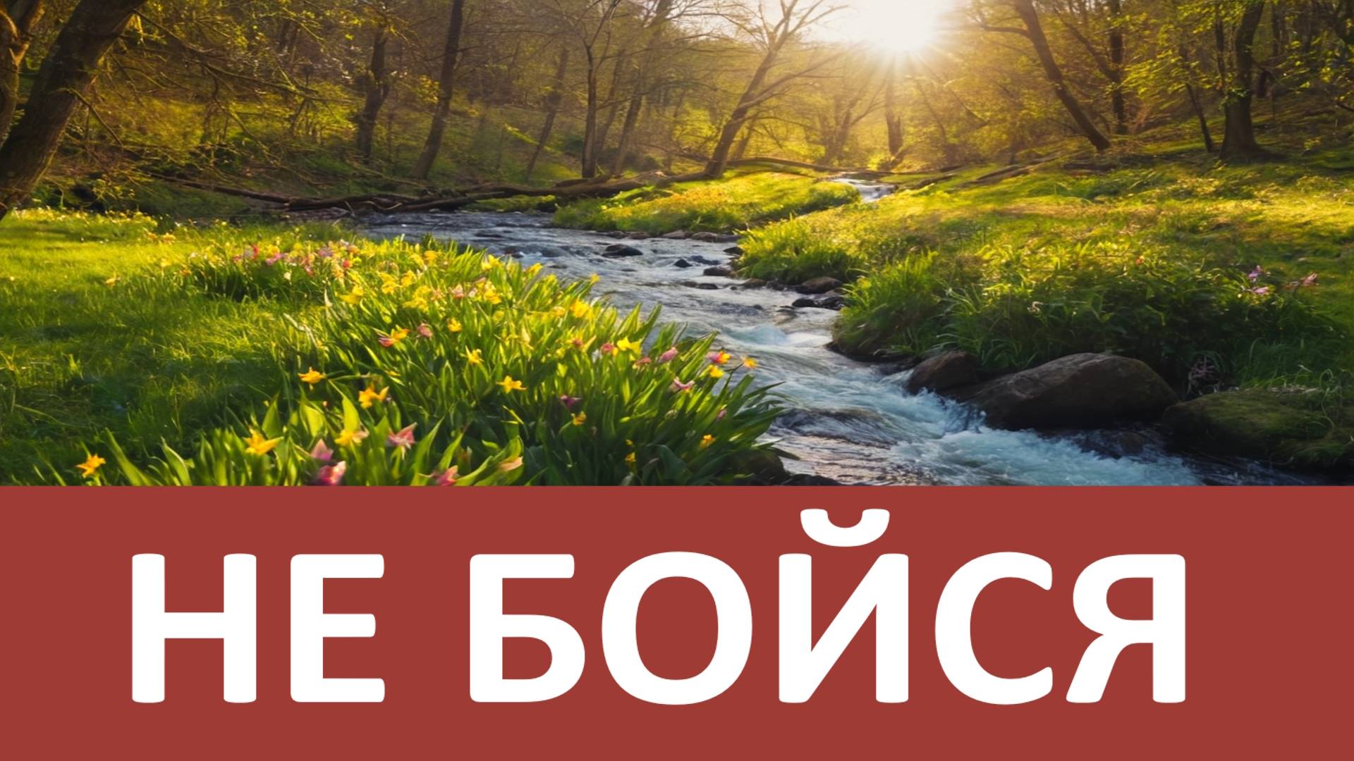 ЧТОБЫ ЖИТЬ СПОКОЙНО НЕ БОЙСЯ НЕПРИЯТНОСТЕЙ, потому что… Никон Воробьев