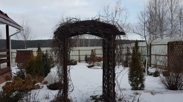 Мой зимний сад и огород часть (4)