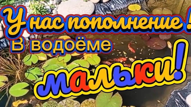 У нас мальки! Устанавливаю раму на веранде.