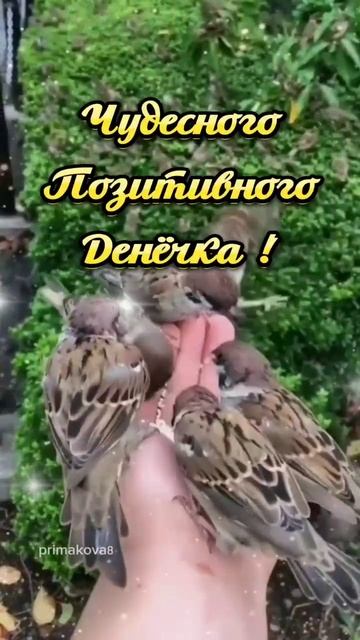 VID_20250622_104718_462.mp4