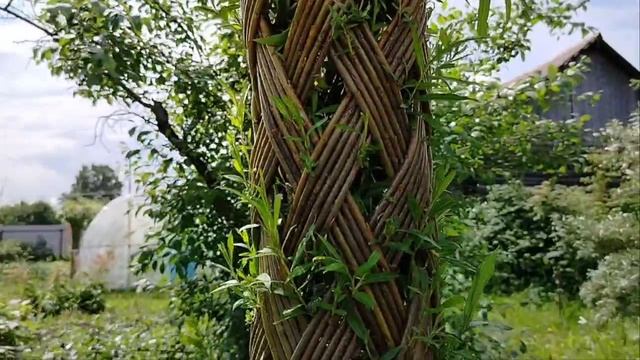 Деревья плетёные из ивовой лозы русская пальма в Перми