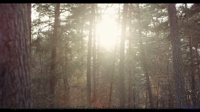 Ваш личный оазис спокойствия - просто нажмите Play! - 1-il y a -- Bonne Humeur Provisoire -- Merak