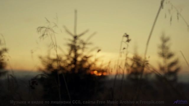 Этот трек заставит вас влюбиться в мир снова! - Caribbean -- SUPERARE -- III
