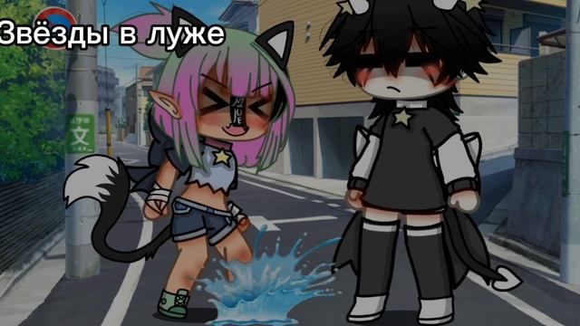 [Милое видео]