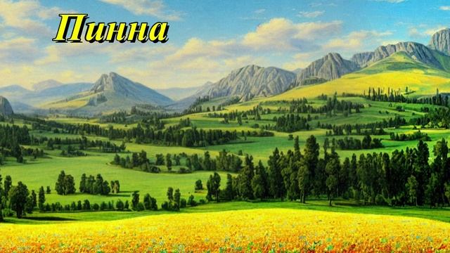 Пинна