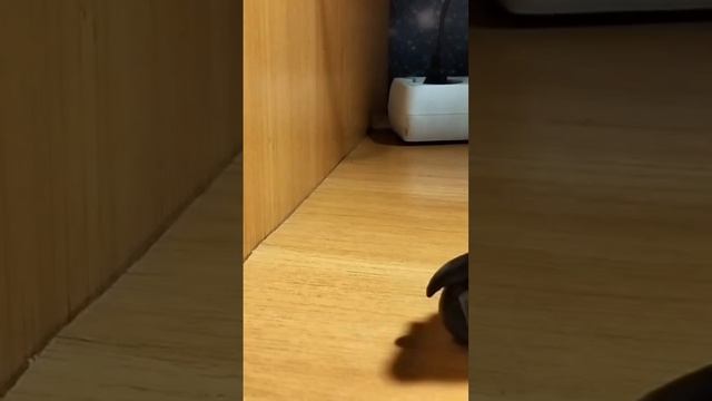 Пластилиновый мультфильм, 2 часть