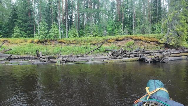 Сплав по р Песь ( 3-й завал пройден  )