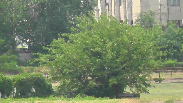 22.06.2025г скачка № 4