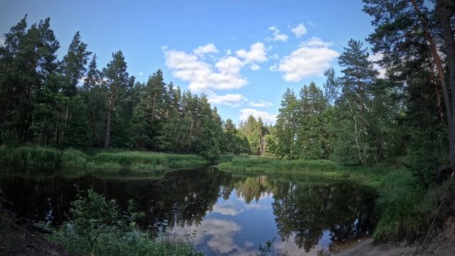 Любимая речка НЕРСКАЯ 21.06.25