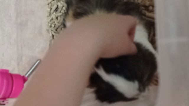 VID_20250622_205428