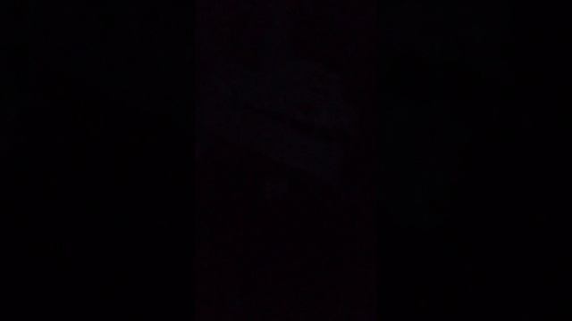 VID_20250622_022315.mp4