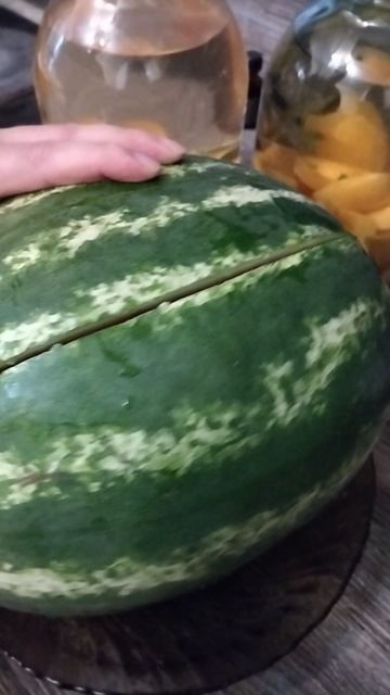 Сезон открыт.