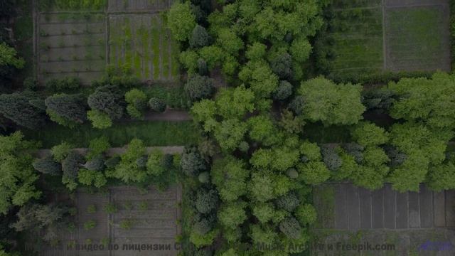 Мелодия превращает поля в магические пространства - Dream Sunlight -- Nihilore -- Best of 2020-2024