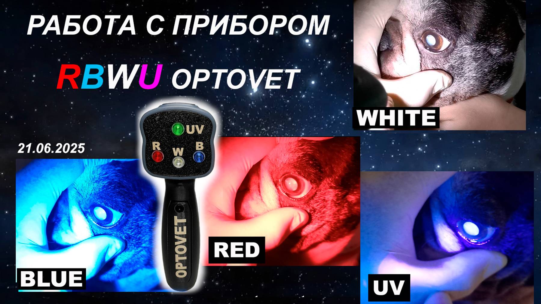 Работа с  ветеринарным офтальмологическим диагностическим прибором RBWU Light Optovet
