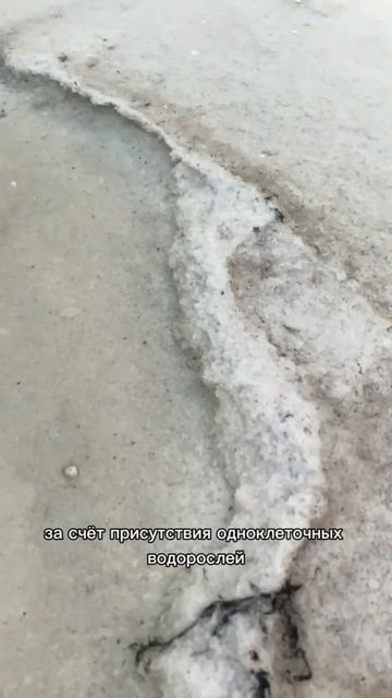 Белое озеро