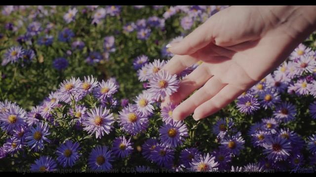 Слушайте эту песню - и пусть мир вокруг исчезнет! - Snow-Dawn -- Ketsa -- Bedding