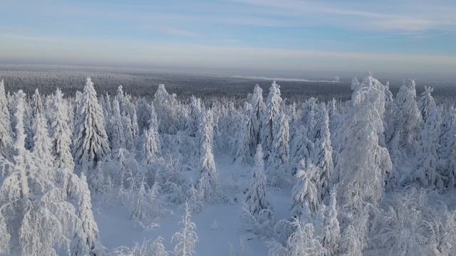 Моя Россия 5