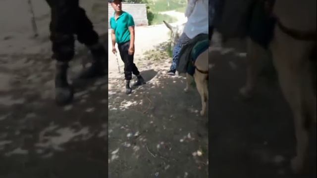 ЗАНКАЛОНА БЕРАХМШ😂😂🤣 2025 ПРИКОЛИ ТОЧИКИ ХУСУРИ МАН КИСМИ 21 ФАРАХНОЗ ГУЛНОЗШОНМС(720P.mp4