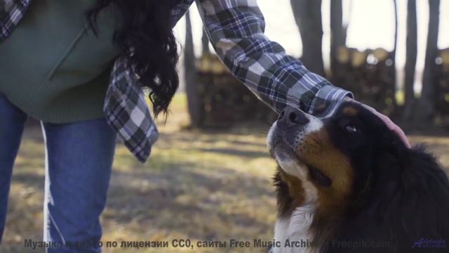 Он заставит тебя поверить в сказку снова! - Releasing The Sculpture -- Podington Bear -- Meet Poding
