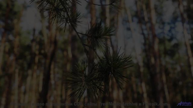 Почему NASA использует эту мелодию для астронавтов - Rotten Guy -- HighWay17 -- Rotten Guy