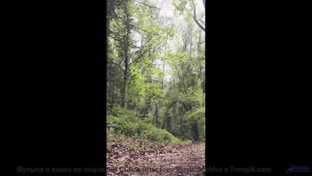 Эта музыка в сочетании с природой сведёт с ума - Starve -- Daniel Birch -- Stargazing