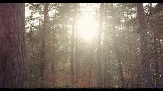 Леса танцуют в такт каждой новой ноте - Acoustic Indie Folk -- Scott Holmes Music -- Inspiring Backg
