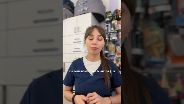 Когда берёте с собой на дачу своих хвостатых членов семьи не забывайте о их состоянии и следуйте рек