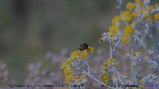 Эта музыка превращает заправку в середине ночи в свидание - Thats a Beat -- Ketsa -- Equinox Rising