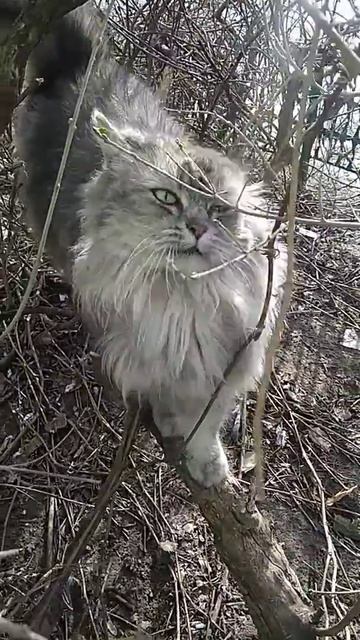 Когда зимой весенняя погода...