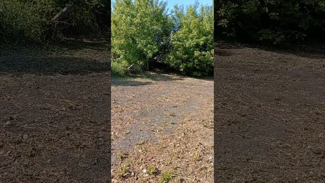 Посадка грядок у Надежды Васильевны  31 05 2025