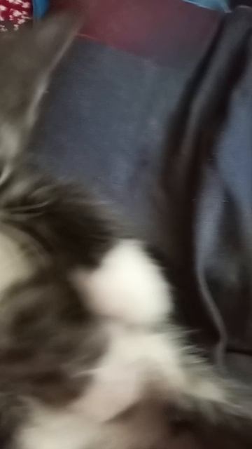 1000001722.mp4