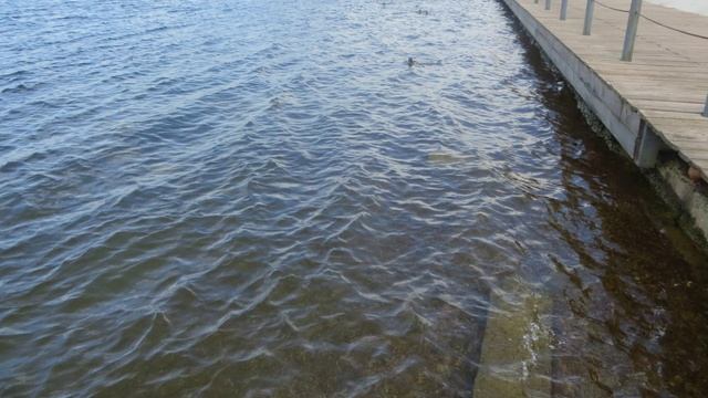22.6.2025г Енисей пристать волны Запись_2025_06_22_21_56_33_795