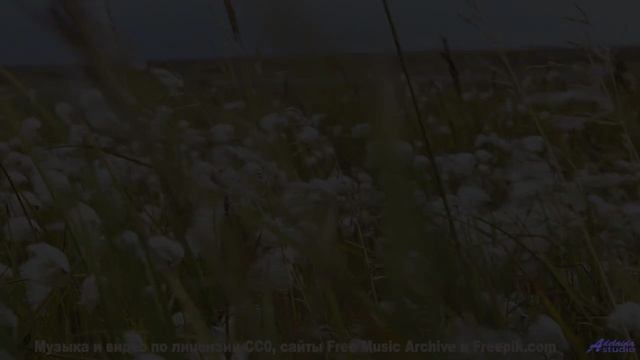 Если бы все клипы были такими, мир стал бы добрее! - Bound To Another World -- Kirk Osamayo -- Seaso
