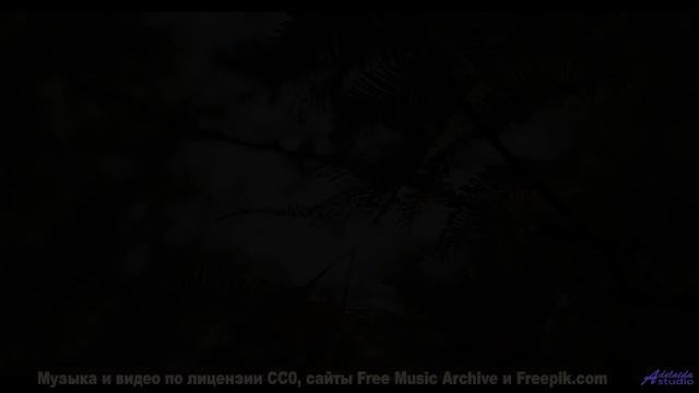 Музыка, которую стоит услышать хотя бы раз в жизни - Inside the piano -- Cartouch -- Cartouch