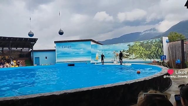 Like_7518603959579671800.mp4