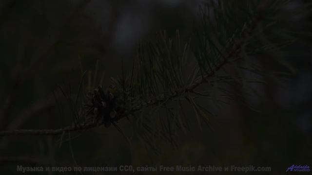 Музыка, в которой тонет сердце! - I like to Ejaculate -- Lance Romance -- Session On Devils Day