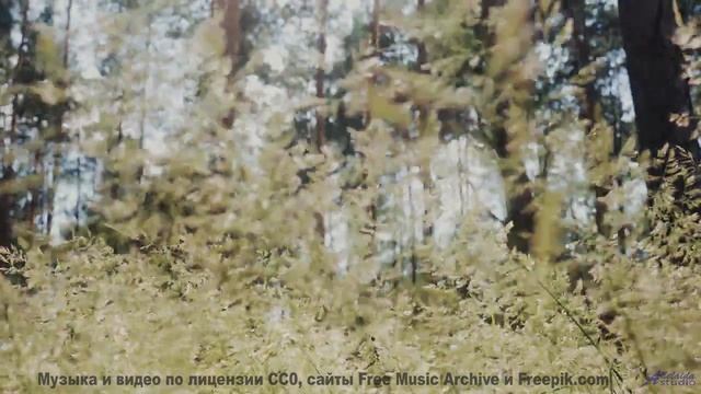 Эти пейзажи и музыка вытряхнут душу начисто - Disturbing Hybrid -- One Man Book -- Life is a Languag