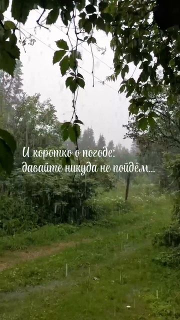 404527280_456239831.mp4
21июня2025г Суббота