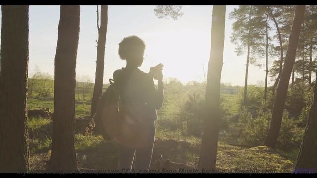 Музыка, которая превращает пейзажи в волшебство! - Until We Get By -- Small Tall Order -- B Sides