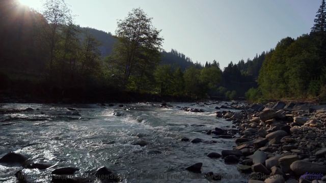 Закройте глаза и представьте его... Эта музыка проведёт вас через мечты! - INFELIZ NAVIDAD (feat. IN