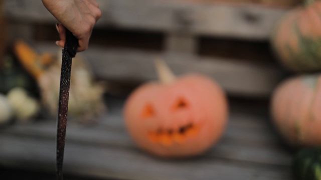 5422492-hd_1920_1080_25fps